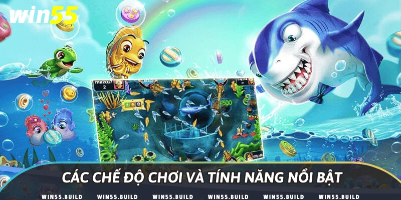 Các chế độ chơi và tính năng nổi bật