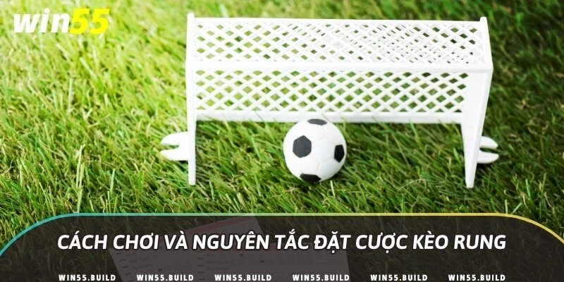 Cách chơi và nguyên tắc đặt cược kèo rung