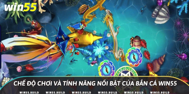 Chế độ chơi và tính năng nổi bật của bắn cá Win55