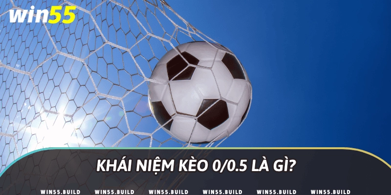 Khái niệm kèo 0/0.5 là gì?