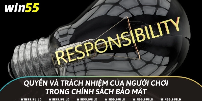Quyền và trách nhiệm của người chơi trong chính sách bảo mật