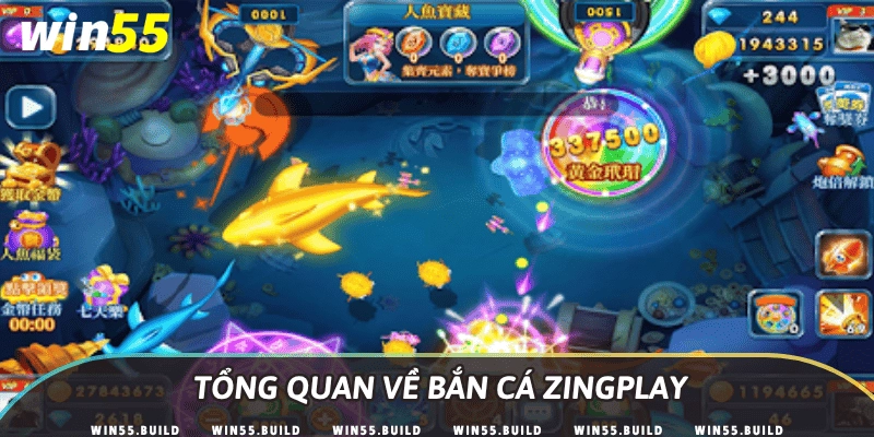 Tổng quan về bắn cá Zingplay