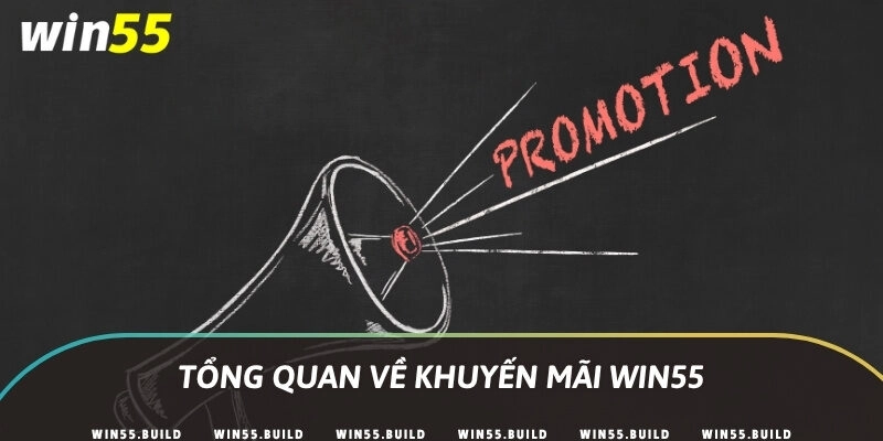 Tổng quan về khuyến mãi Win55
